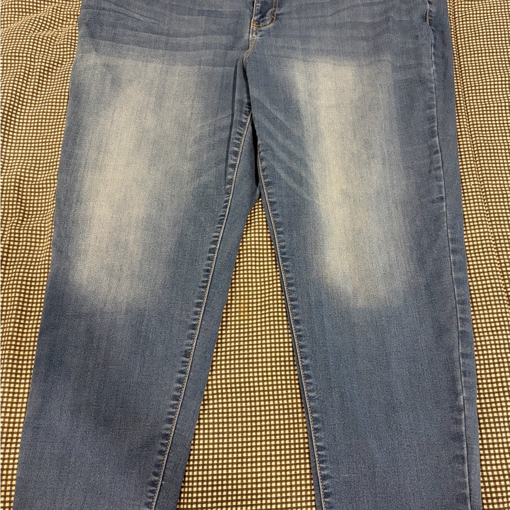 Terra & Sky Light Blue Skinny Jeans